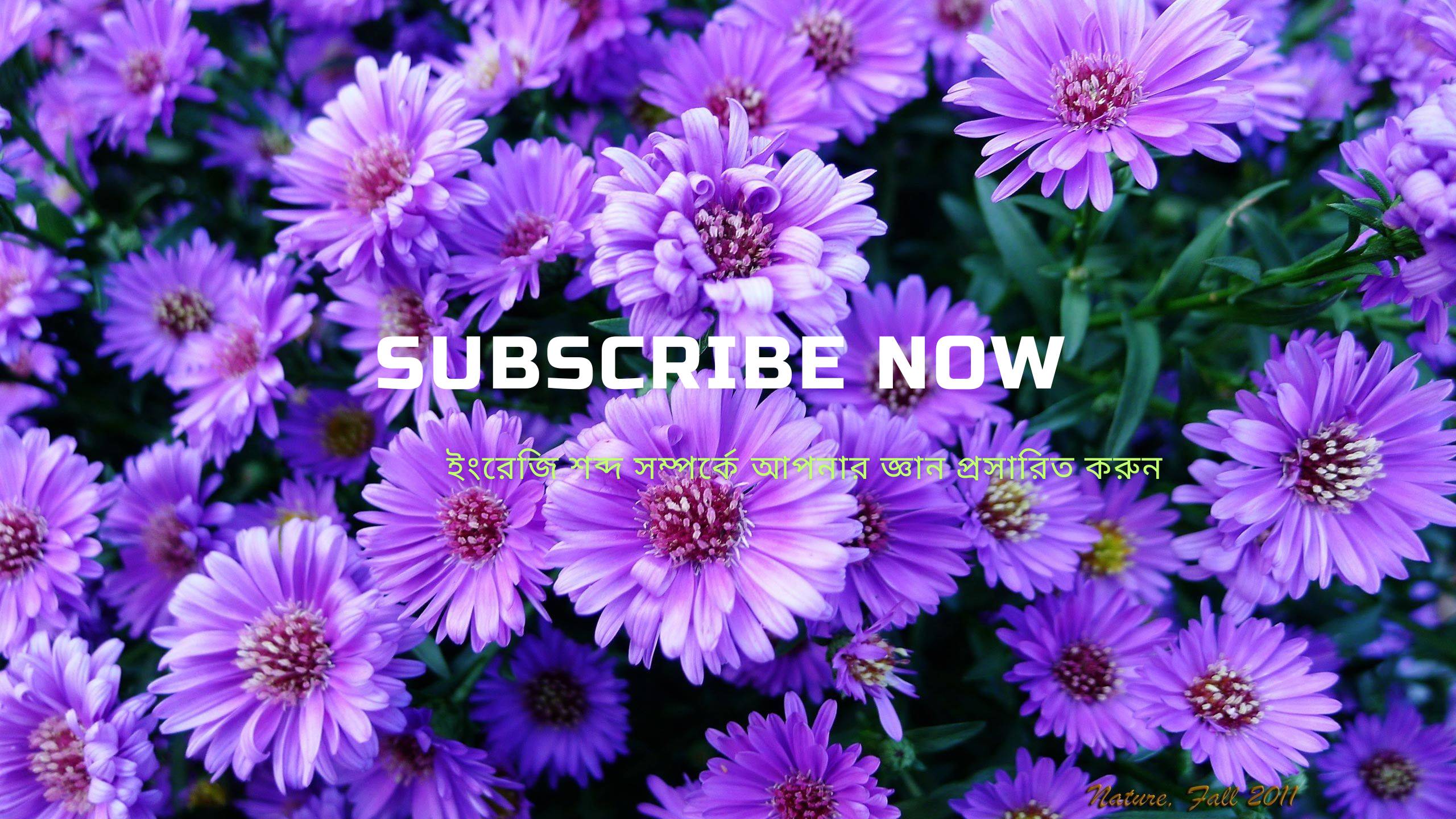 channel-thumbnail